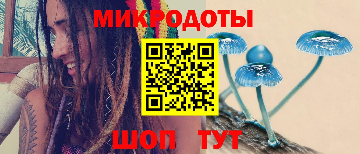 Псилоцибиновые грибы GOLDEN TEACHER  наркотики  Псилоцибиновые грибы Psilocybe  Ишим  Вход с VPN 
