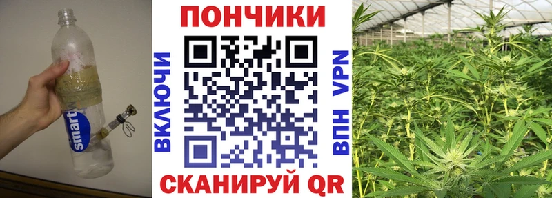 мега рабочий сайт  Ишим  Бошки марихуана White Widow  сколько стоит 